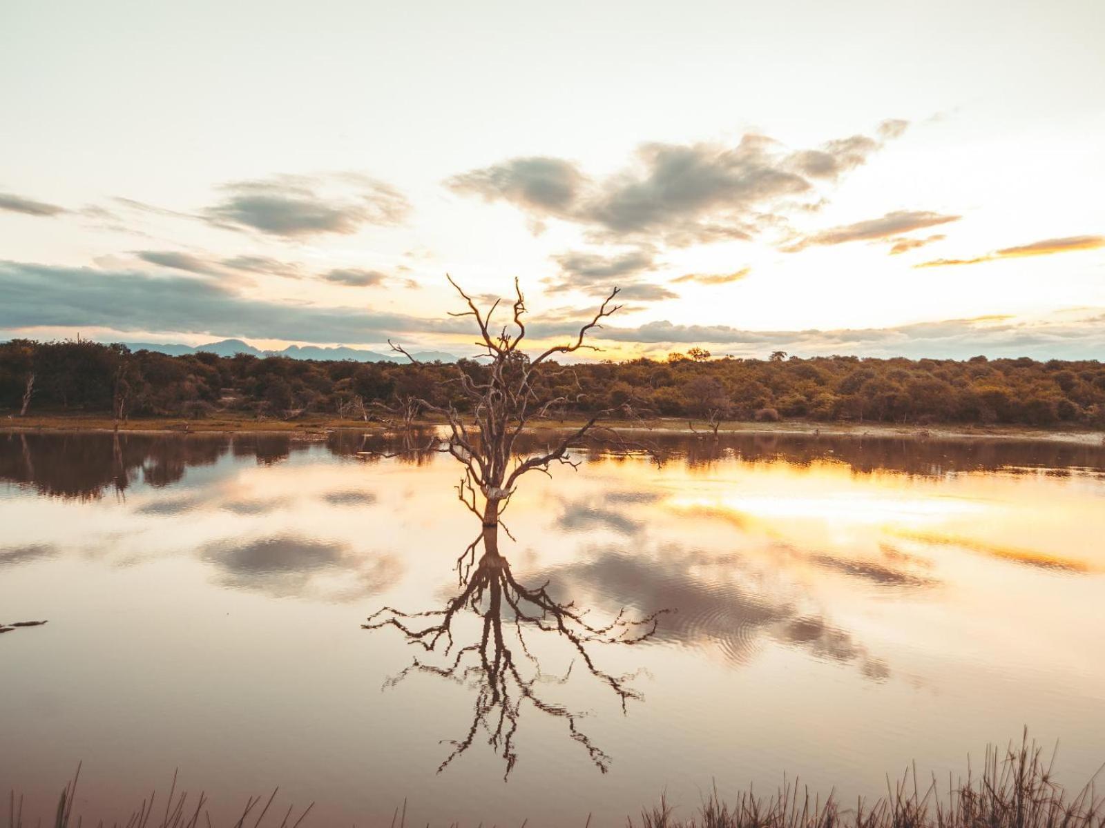 Maroelani Lodge- Greater Kruger Private Reserve Hoedspruit Εξωτερικό φωτογραφία