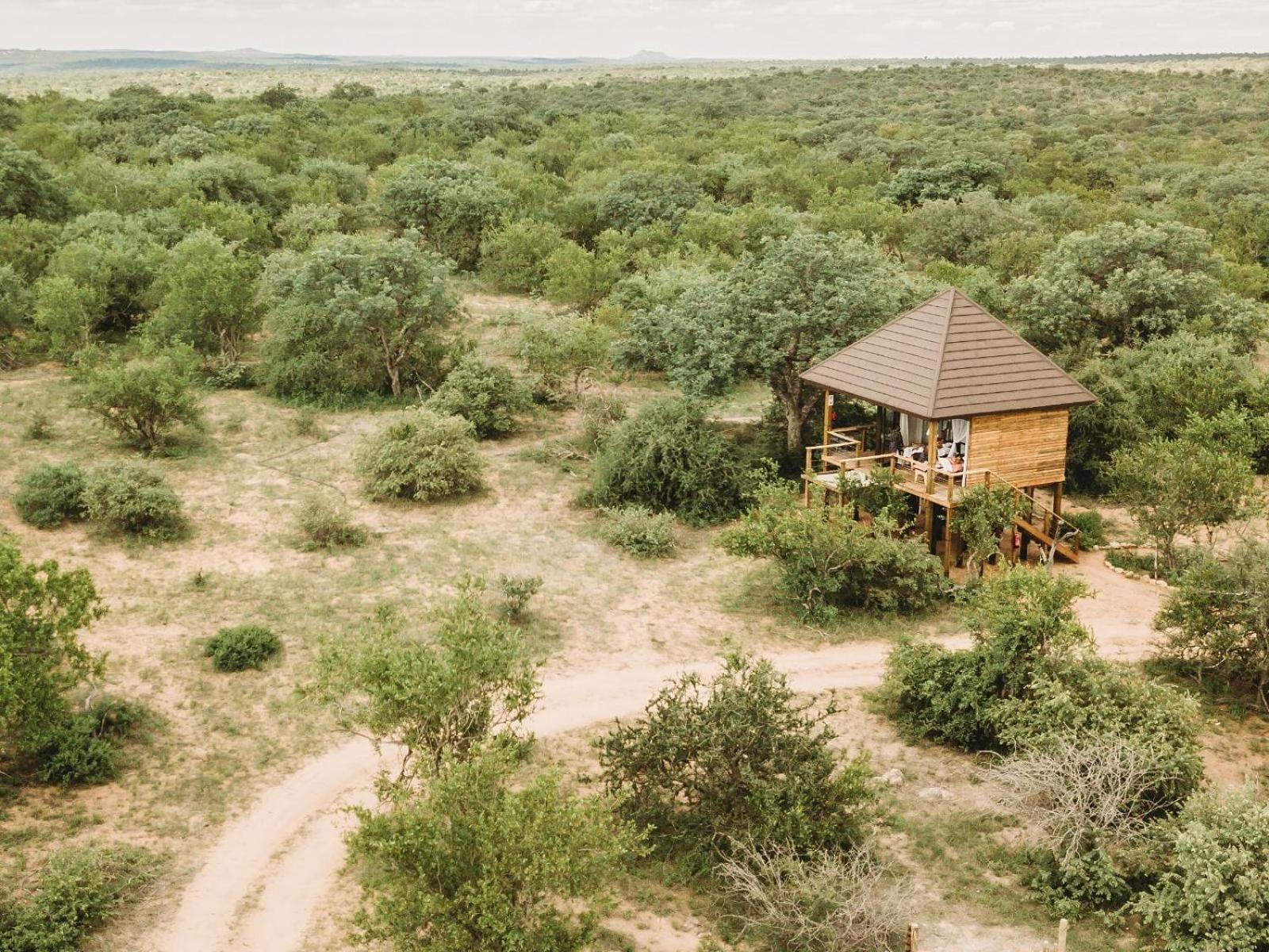 Maroelani Lodge- Greater Kruger Private Reserve Hoedspruit Δωμάτιο φωτογραφία