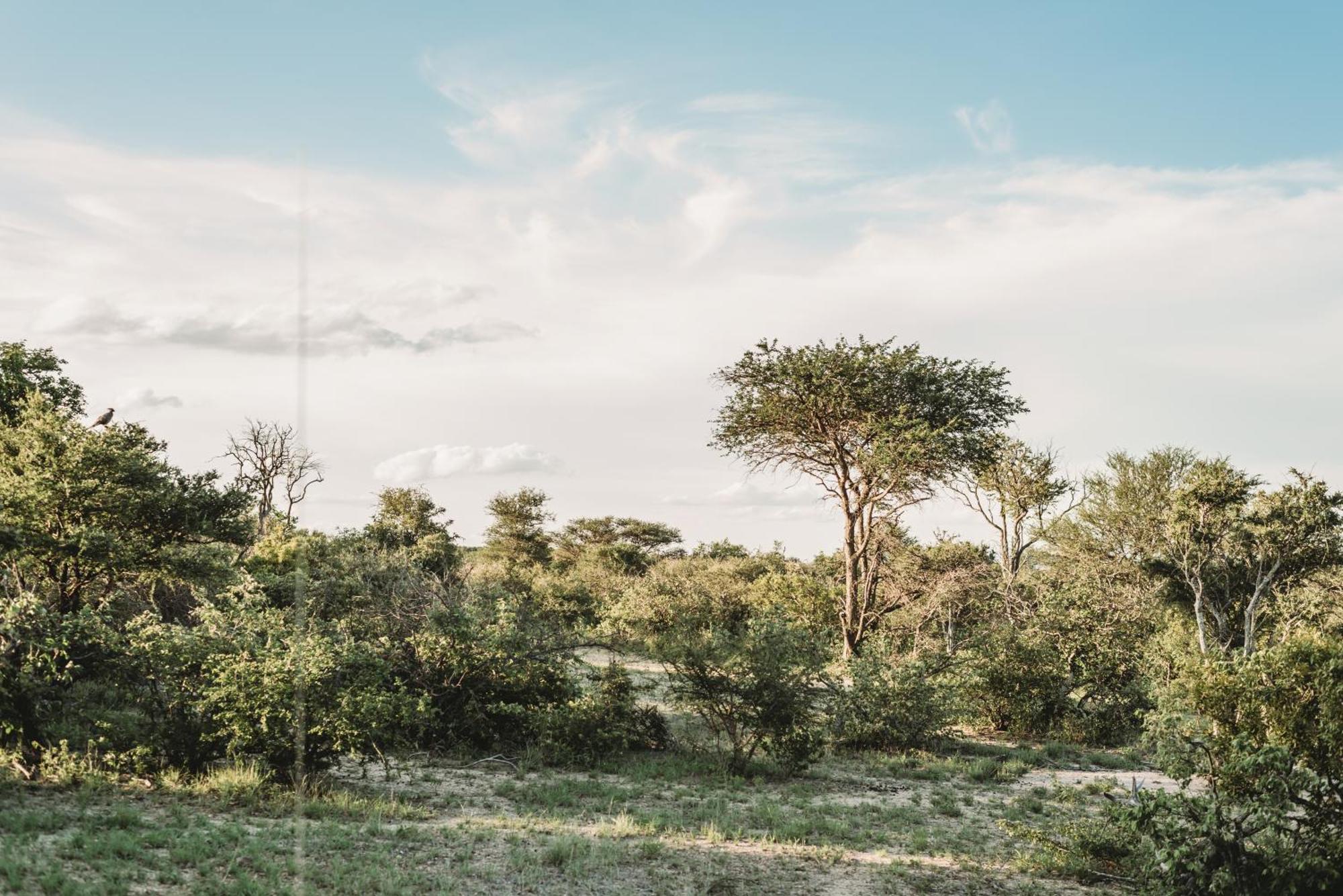 Maroelani Lodge- Greater Kruger Private Reserve Hoedspruit Εξωτερικό φωτογραφία